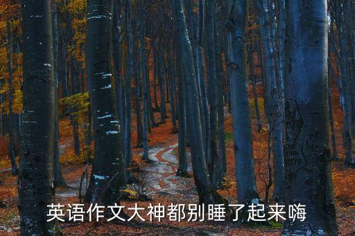 英语作文大神都别睡了起来嗨