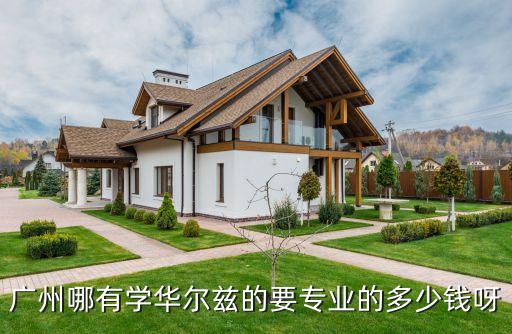 广州哪有学华尔兹的要专业的多少钱呀