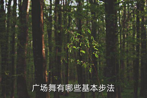 广场舞有哪些基本步法