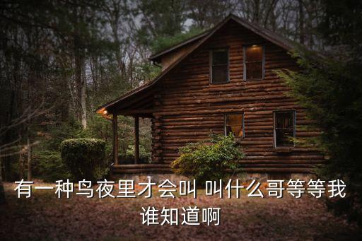 有一种鸟夜里才会叫 叫什么哥等等我谁知道啊