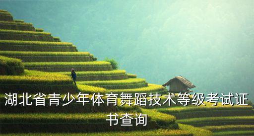 湖北省青少年体育舞蹈技术等级考试证书查询