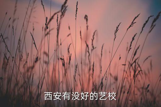 西安艺校，西安有什么艺术院校