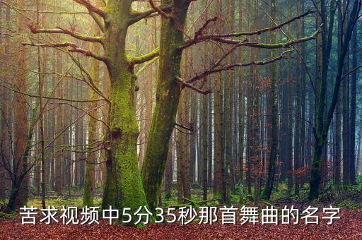 广场舞比赛5分音乐是什么歌，苦求视频中5分35秒那首舞曲的名字