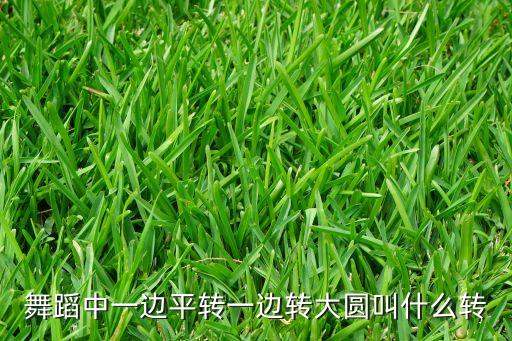 舞蹈中一边平转一边转大圆叫什么转