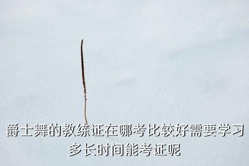 爵士舞的教练证在哪考比较好需要学习多长时间能考证呢
