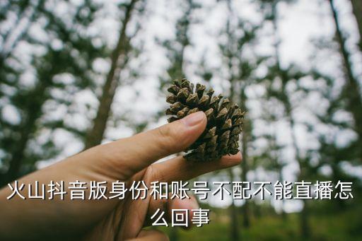 火山版抖音，绑一个手机号用火山版能看抖音上的主播直播吗