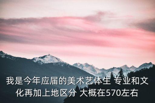 美术综合分570，2013安徽艺术类综合分570能上什么学校