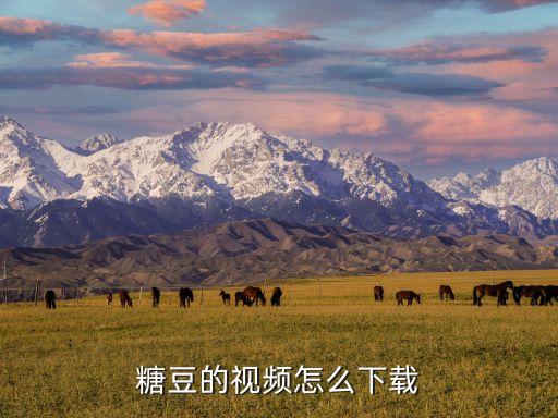 糖豆的视频怎么下载