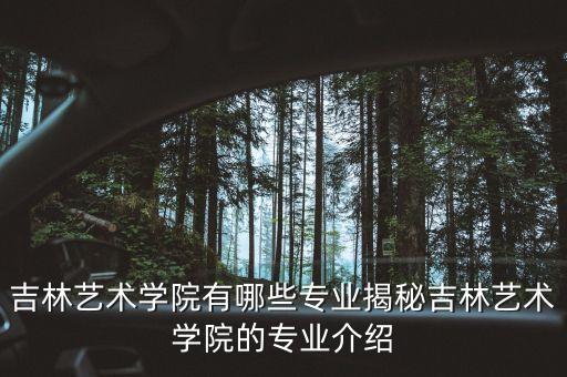 吉林艺术学院有哪些专业揭秘吉林艺术学院的专业介绍