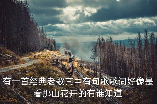 有一首经典老歌其中有句歌歌词好像是看那山花开的有谁知道