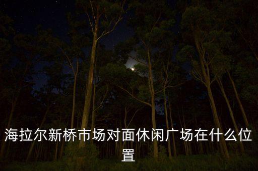 海拉尔新桥市场对面休闲广场在什么位置