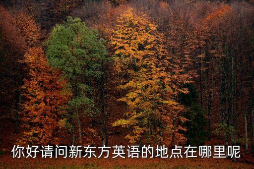 上海新东方教育机构官网电话，上海新东方英语