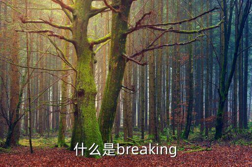 breaking是什么舞蹈，breaking 是属于那个舞种