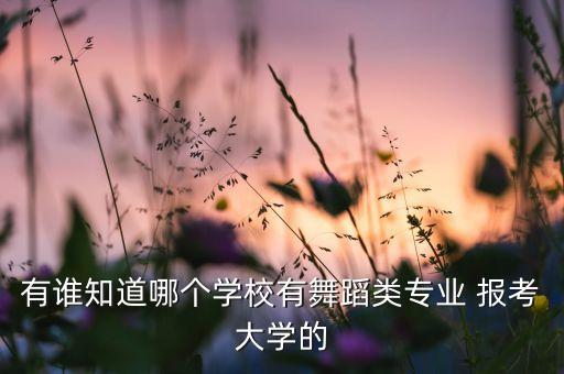 有谁知道哪个学校有舞蹈类专业 报考大学的