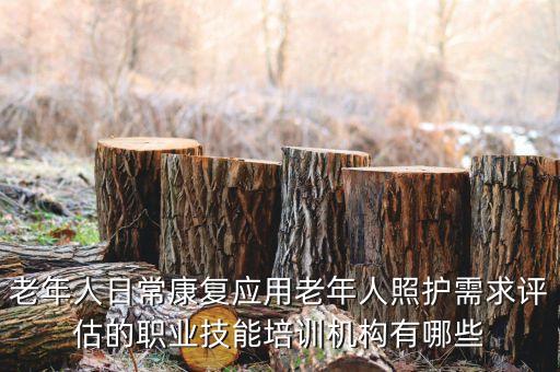 中老年人培训机构，老年人日常康复应用老年人照护需求评估的职业技能培训机构有哪些