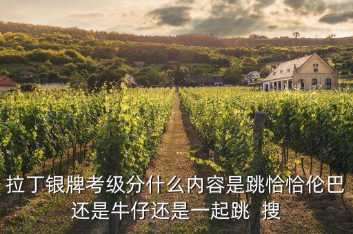 拉丁银牌考级分什么内容是跳恰恰伦巴还是牛仔还是一起跳  搜
