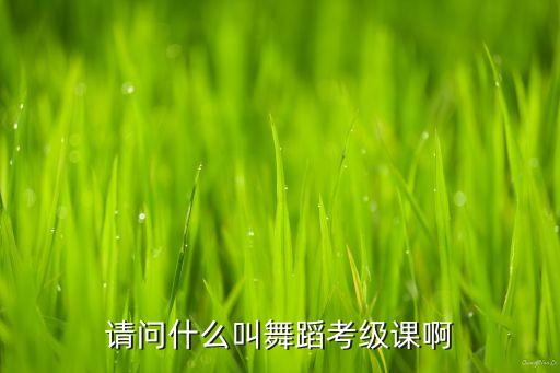 舞蹈艺考班是什么意思，高考艺术班 什么意思