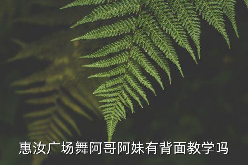 惠汝广场舞阿哥阿妹有背面教学吗
