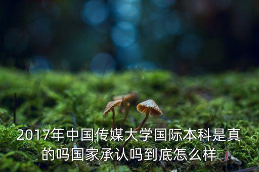 2017年中国传媒大学国际本科是真的吗国家承认吗到底怎么样