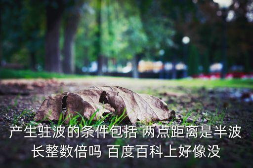产生驻波的条件包括 两点距离是半波长整数倍吗 百度百科上好像没