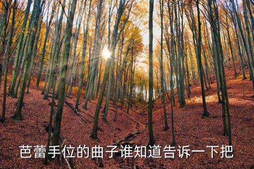 芭蕾手位的曲子谁知道告诉一下把