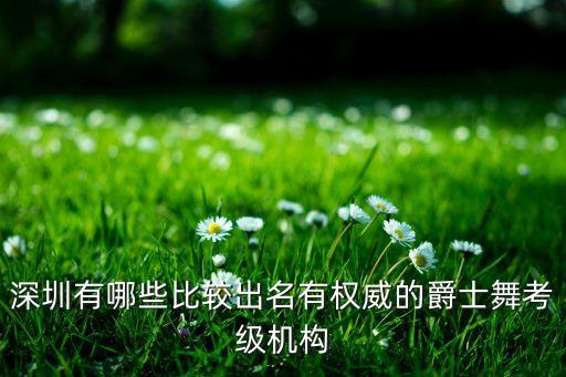 深圳舞蹈考级中心在哪里，深圳有哪些可以进行中国舞教师资格证培训及考级的机构培训考级流