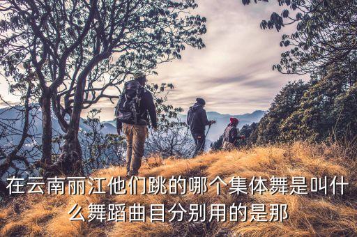 纳西族有什么舞蹈，纳西族花花赛是什么
