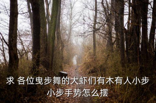 求 各位曳步舞的大虾们有木有人小步小步手势怎么摆