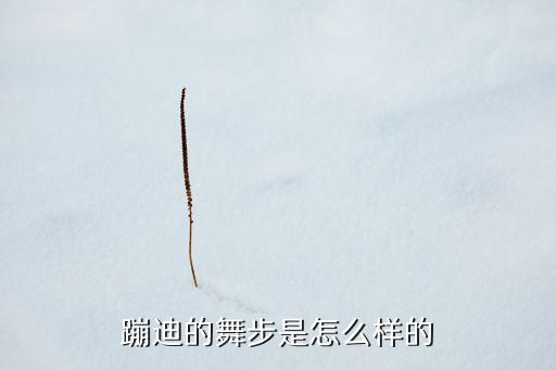 蹦迪的舞步是怎么样的