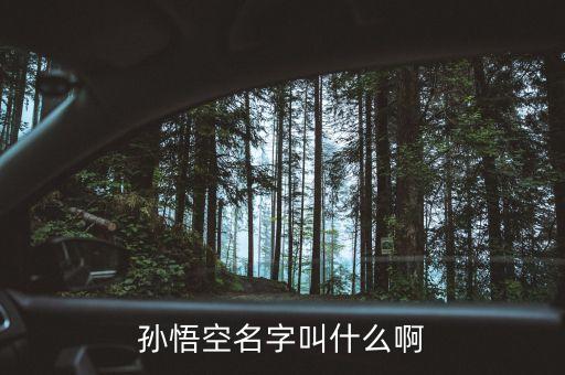 孙悟空名字叫什么啊