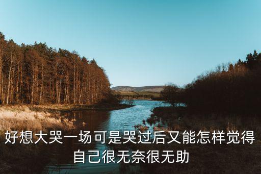 好想大哭一场可是哭过后又能怎样觉得自己很无奈很无助