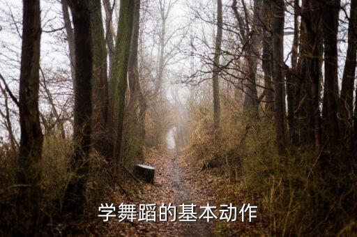 学舞蹈的基本动作