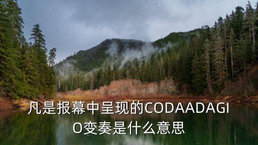 凡是报幕中呈现的CODAADAGIO变奏是什么意思