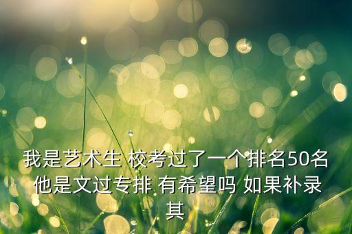 艺考生文过专排的学校，我是艺术生 校考过了一个排名50名 他是文过专排 有希望吗 如果补录其