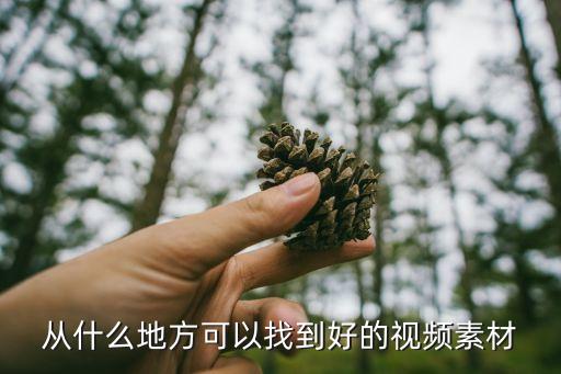从什么地方可以找到好的视频素材