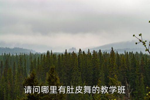 请问哪里有肚皮舞的教学班