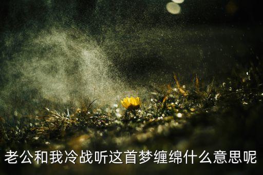 梦缠绵歌词的意思是什么，雨心碎风流泪梦缠绵情悠远千年等一回断肠也无怨有谁知
