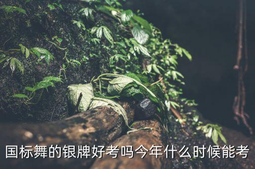 国标舞的银牌好考吗今年什么时候能考