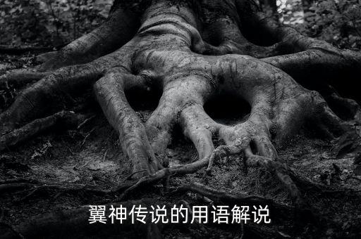 vibrato为什么被十九禁，vibrato mv 什么意思