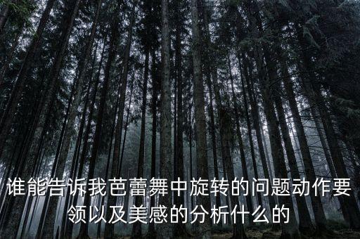 谁能告诉我芭蕾舞中旋转的问题动作要领以及美感的分析什么的