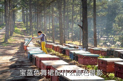 蓝色舞蹈服装化什么妆，宝蓝色舞裙配什么颜色眼影