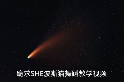 跪求SHE波斯猫舞蹈教学视频