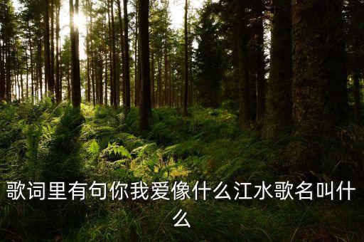 歌词里有句你我爱像什么江水歌名叫什么