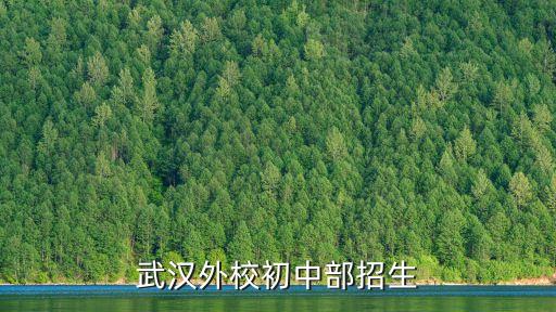 工美附中招生简章2023，眉山实验中学招生简章