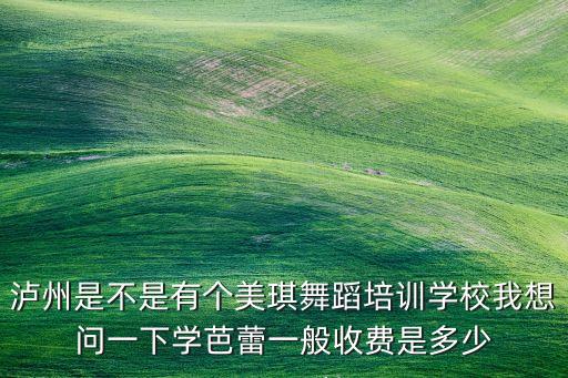 暑假学芭蕾多少钱，泸州是不是有个美琪舞蹈培训学校我想问一下学芭蕾一般收费是多少