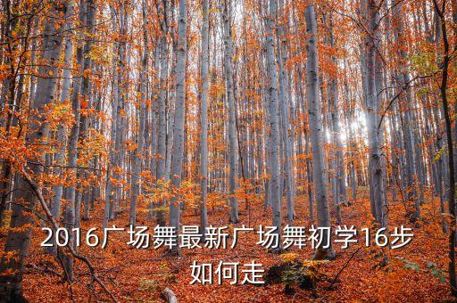 2016广场舞最新广场舞初学16步如何走