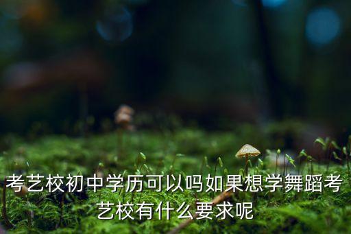 考艺校初中学历可以吗如果想学舞蹈考艺校有什么要求呢