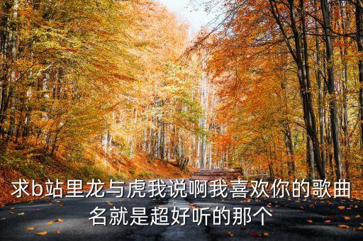 求b站里龙与虎我说啊我喜欢你的歌曲名就是超好听的那个