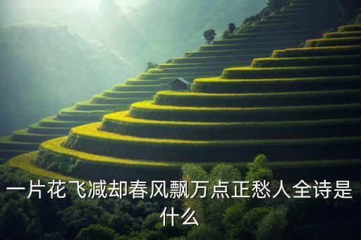 一片花飞减却春风飘万点正愁人全诗是什么