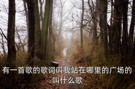 有一首歌的歌词叫我站在哪里的广场的叫什么歌